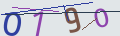 verifycode